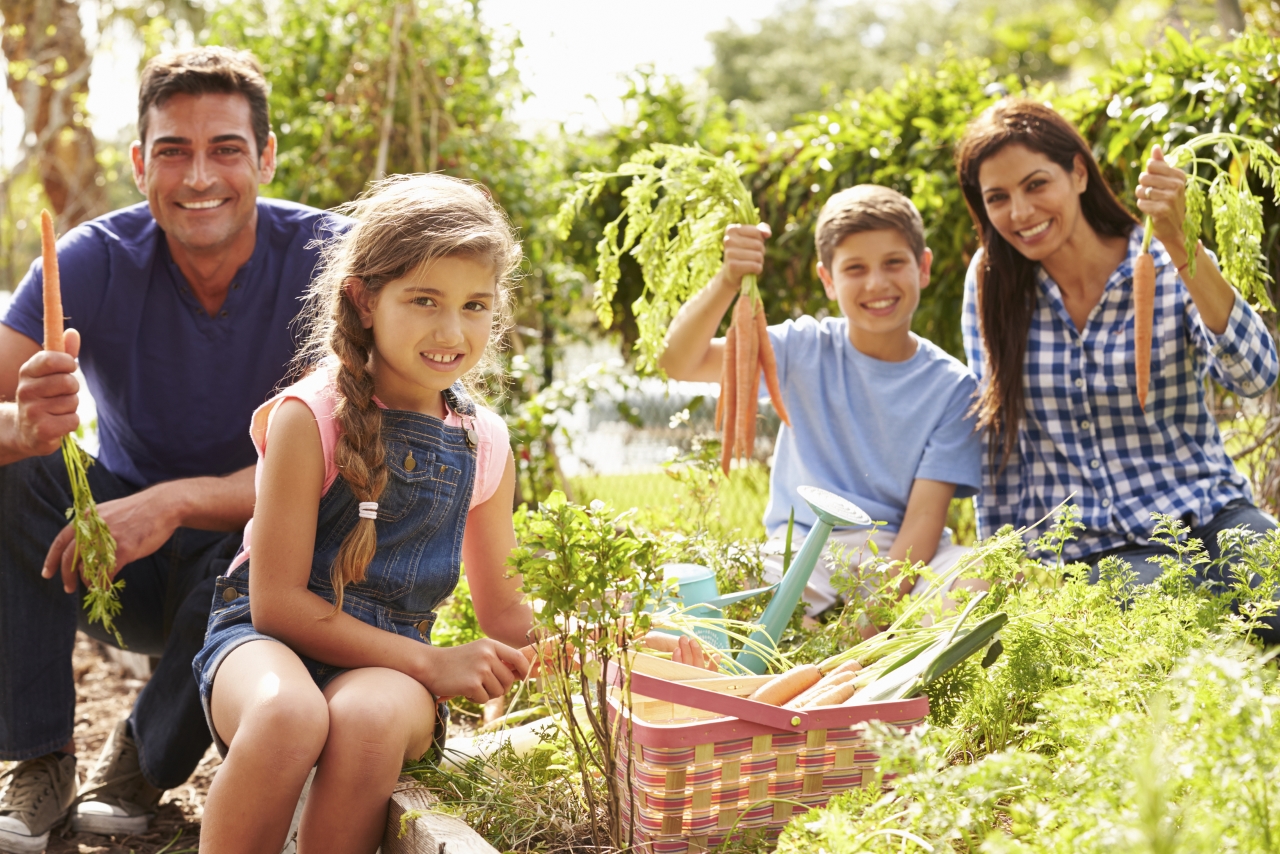 Top 5 Gardening Health Benefits